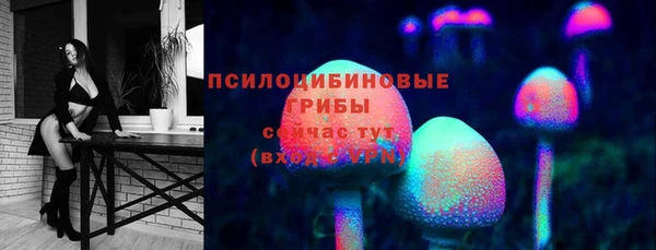 метадон Бородино