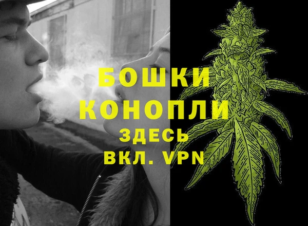 стафф Бронницы