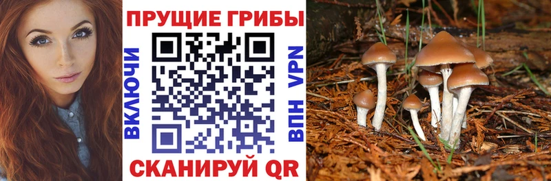 Галлюциногенные грибы мухоморы  купить  цена  Городовиковск 
